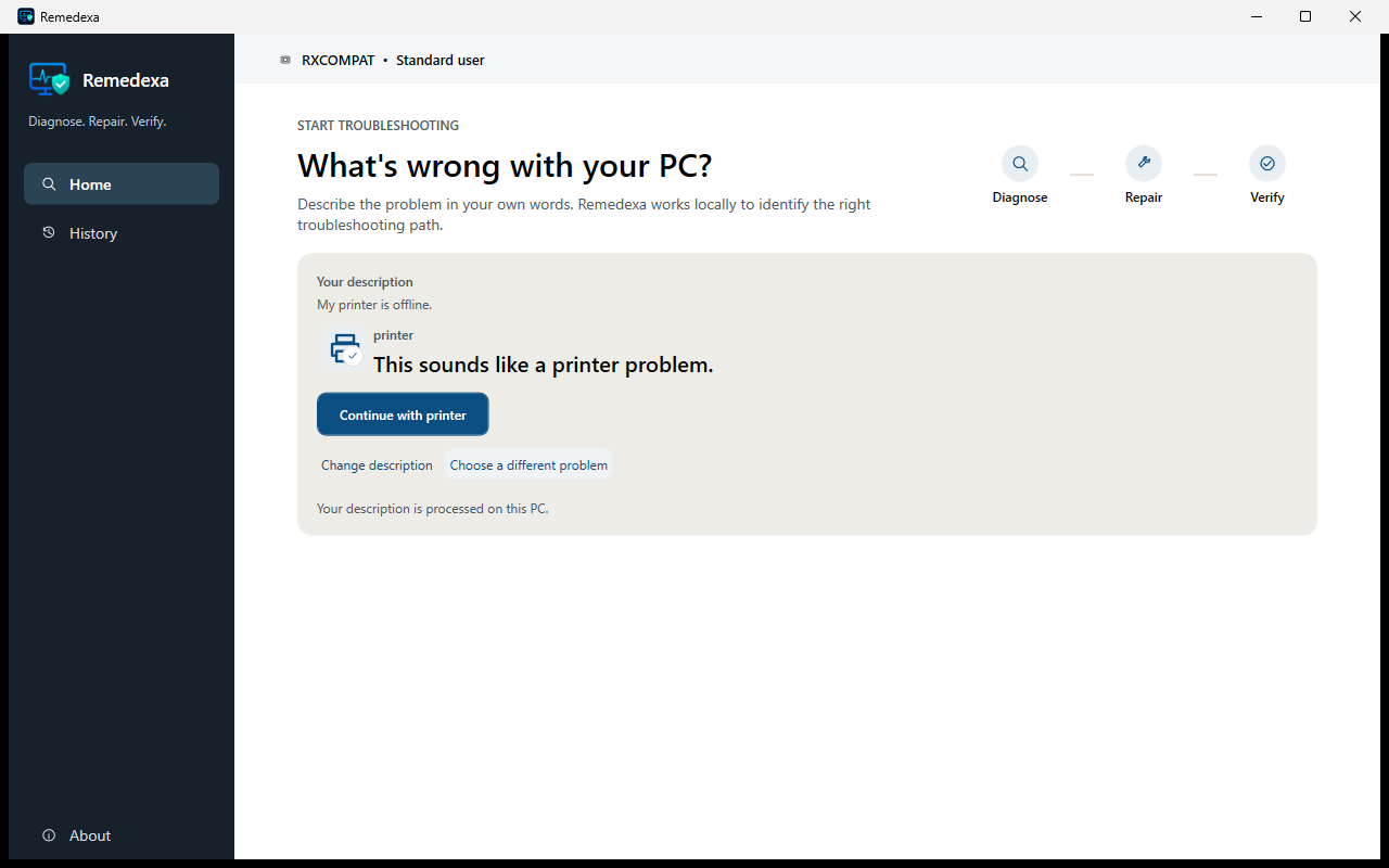 Remedexa natural-language intake mapping the synthetic description “My printer is offline” to a printer problem before troubleshooting begins.